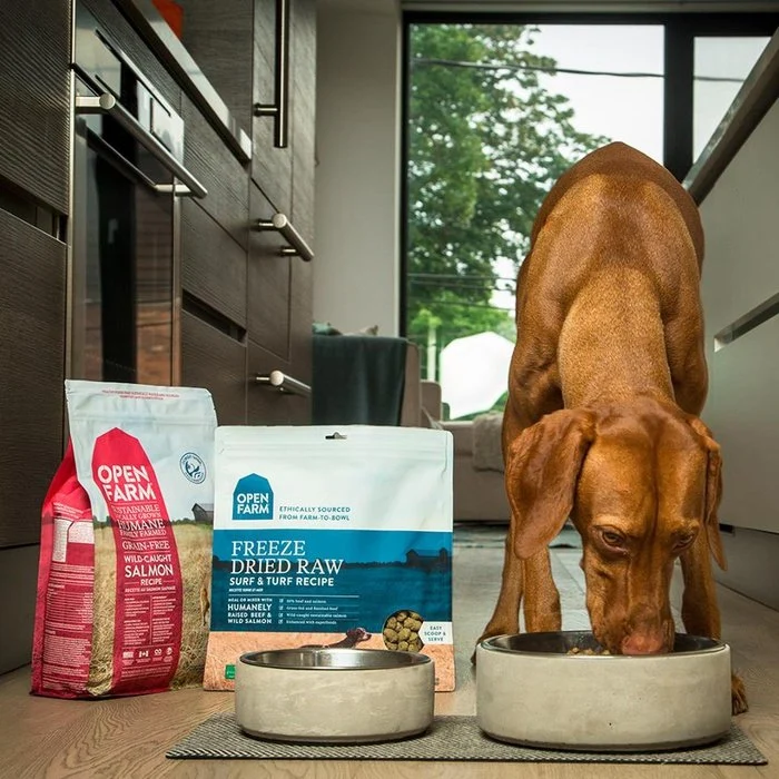 Nourriture pour chiens Open Farm Saumon sauvage sans grain