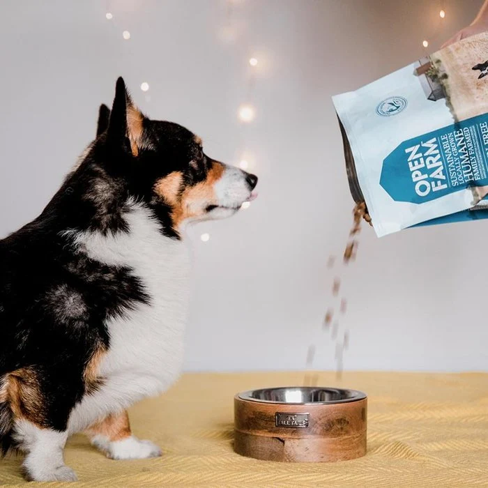 Nourriture pour chiens Open Farm Poisson sans grain