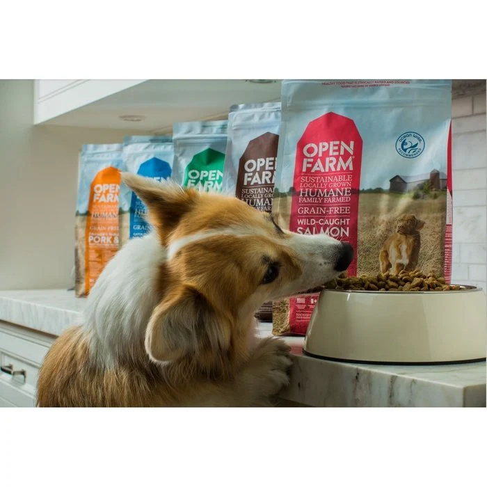Nourriture pour chiens Open Farm Dinde et Poulet sans grain