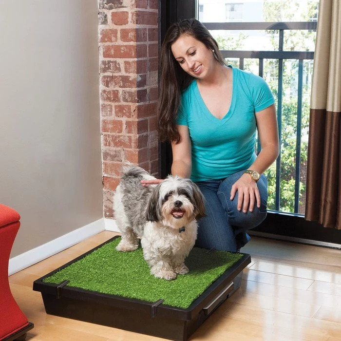 Litière pour chien Pet Loo