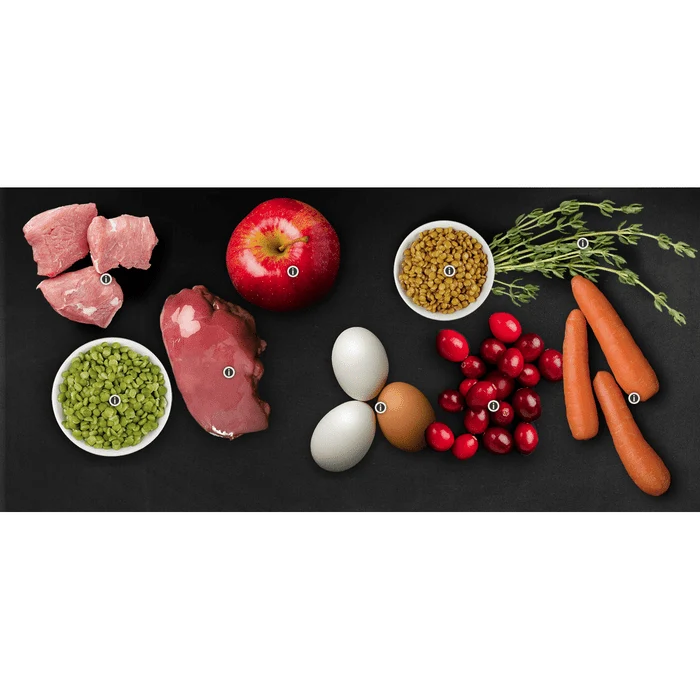CaniSource pour chat, viande rouge