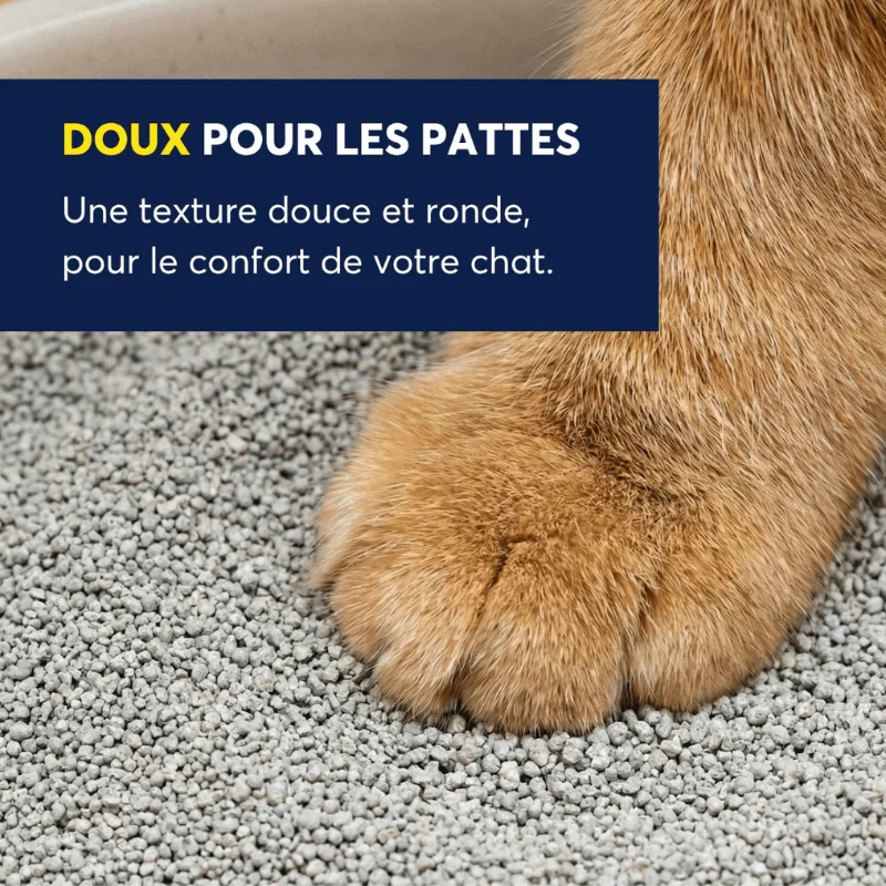 Intersand Odourlock Légère Litière Agglomérante, Parfum Délicat 5 Kg