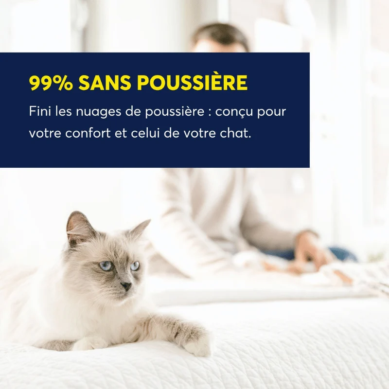 Intersand Odourlock Légère Litière Agglomérante, Parfum Délicat 5 Kg