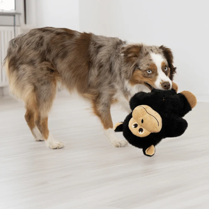 Kong Snuzzles XL Gorille peluche géante pour chien
