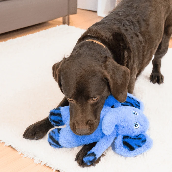 Kong Jungle Jamz Éléphant peluche pour chien