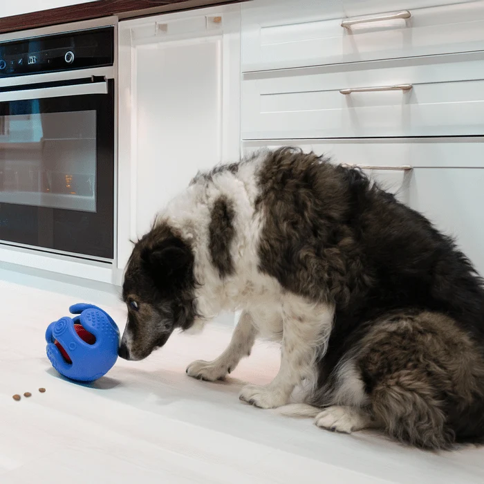 Kong Rewards Wrapz – Distributeur de friandises interactif pour chien
