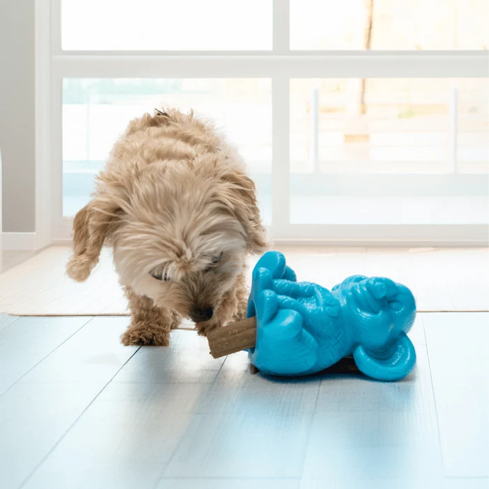 Kong Zoolooz Éléphant distributeur de gâteries pour chien