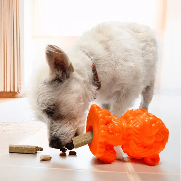 Kong Zoolooz Lion distributeur de gâteries pour chien