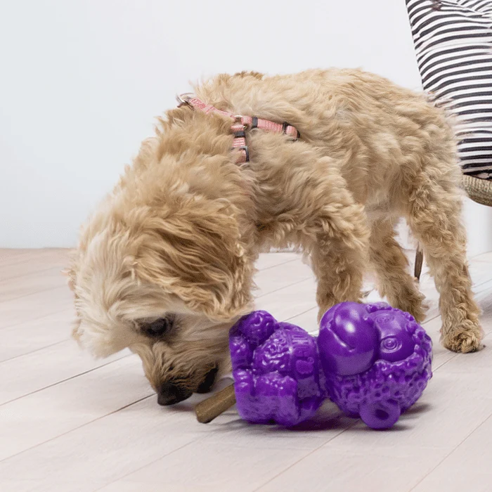 Kong Zoolooz Singe distributeur de gâteries pour chien