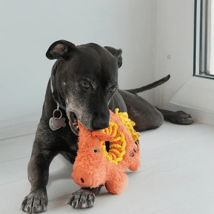 Kong Ringaroos Cochon jouet pour chien