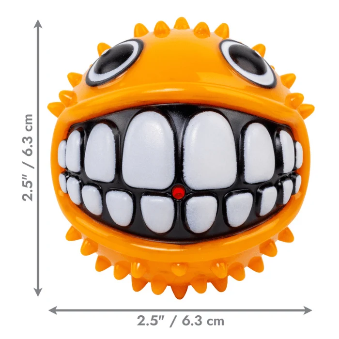 Kong Grinz Poisson jouet pour chien