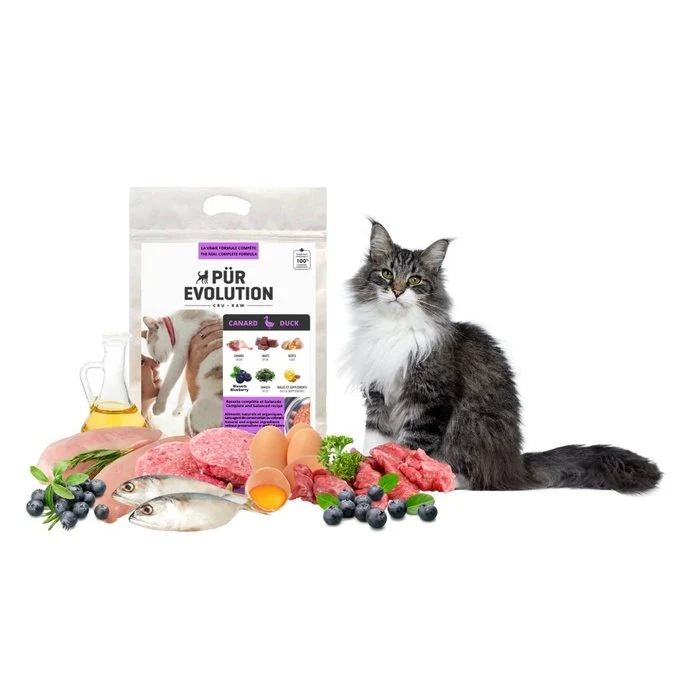 PÜR Evolution Canard - Nourriture crue chat adulte et chaton - En magasin seulement