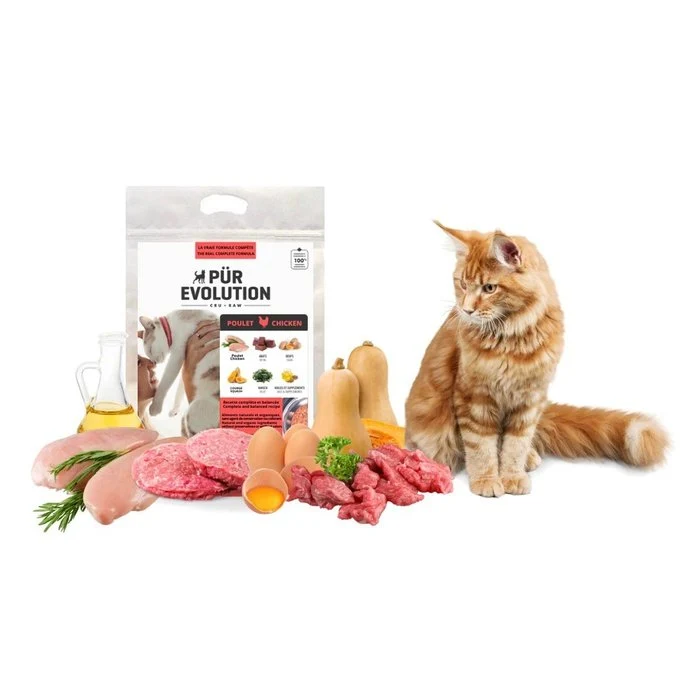 PÜR Evolution Poulet - Nourriture crue chat adulte et chaton - En magasin seulement
