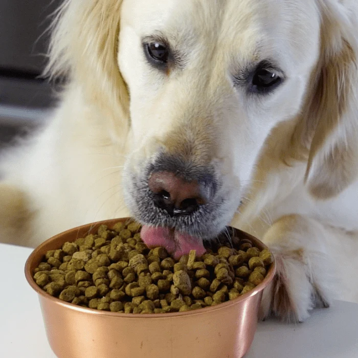 Nourriture pour chiens Open Farm Venaison sans grain