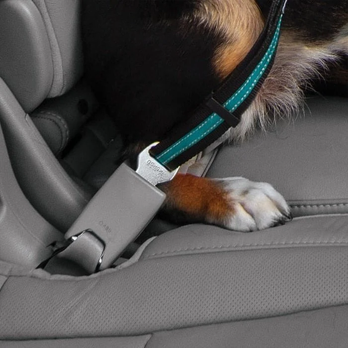 Attache de ceinture de sécurité pivotante