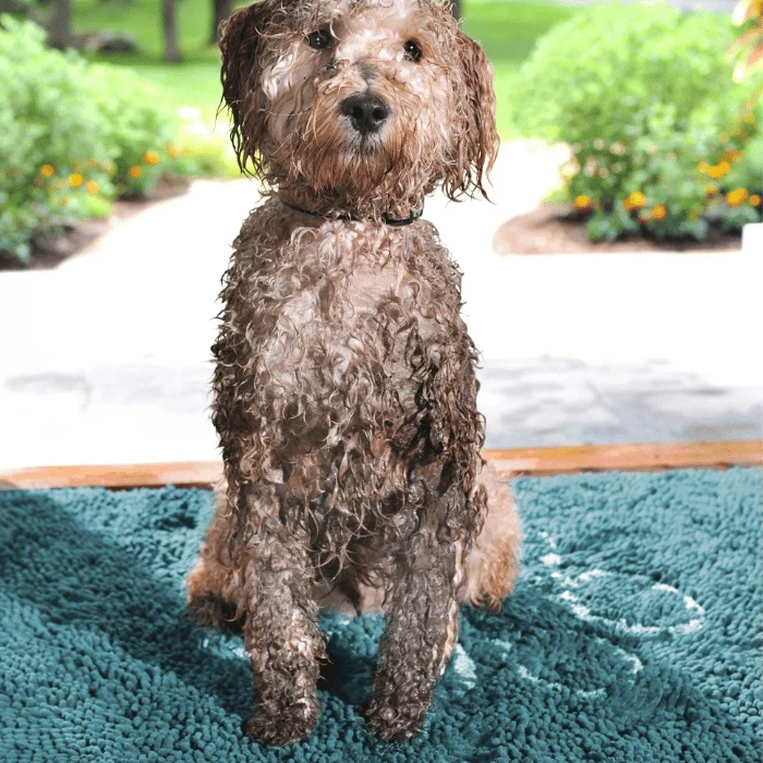 Tapis super absorbant Dirty Paws Bleu