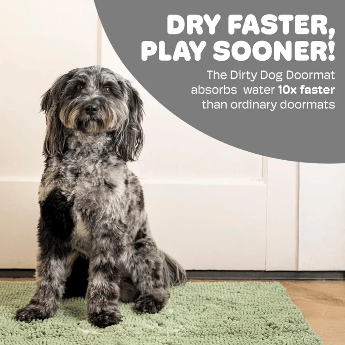 Tapis super absorbant Dirty Paws Bleu