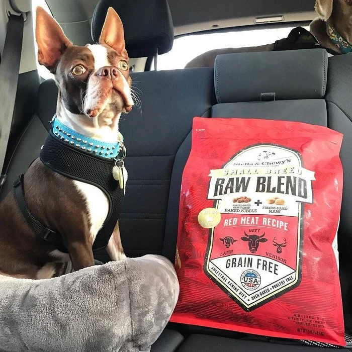 Croquettes Stella & Chewy's Raw Blend Viande rouge pour petites races de chiens