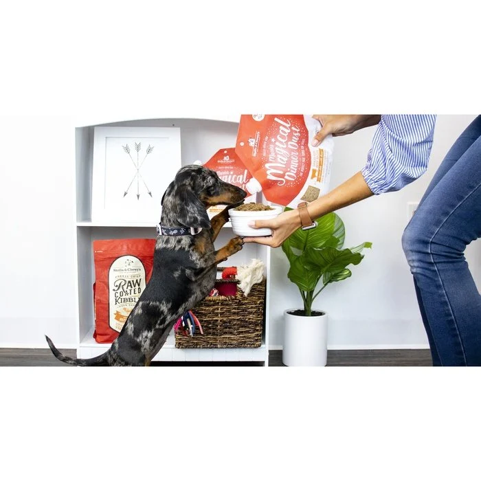 Marie's Magical Dinner Dust Bœuf 7 oz pour chiens