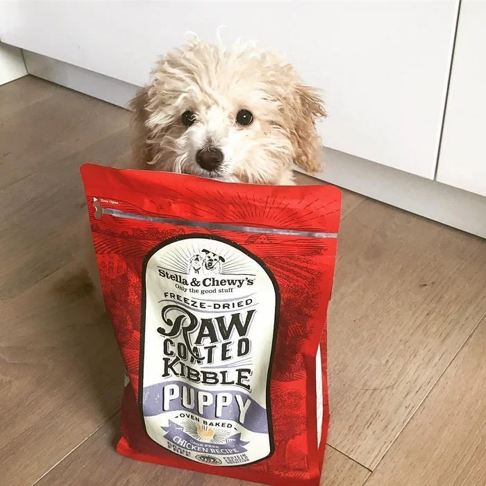 Croquettes Stella & Chewy's Raw Coated Poulet sans cage pour chiots