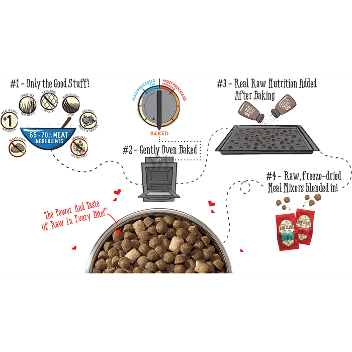Croquettes Stella & Chewy's Raw Blend Cage-Free Volaille pour chiens