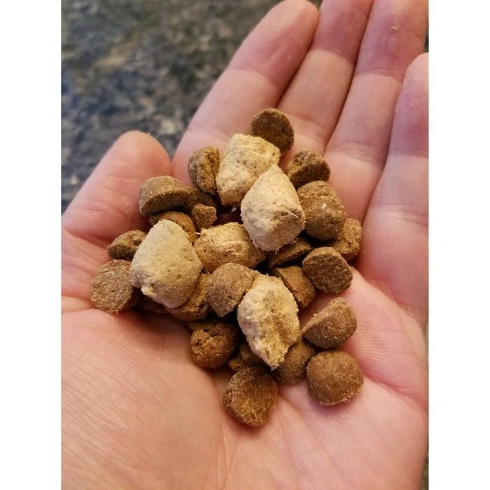 Croquettes Stella & Chewy's Raw Blend Viande rouge pour chiens