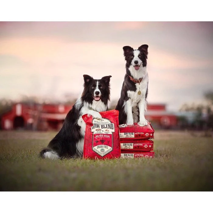 Croquettes Stella & Chewy's Raw Blend Viande rouge pour chiens