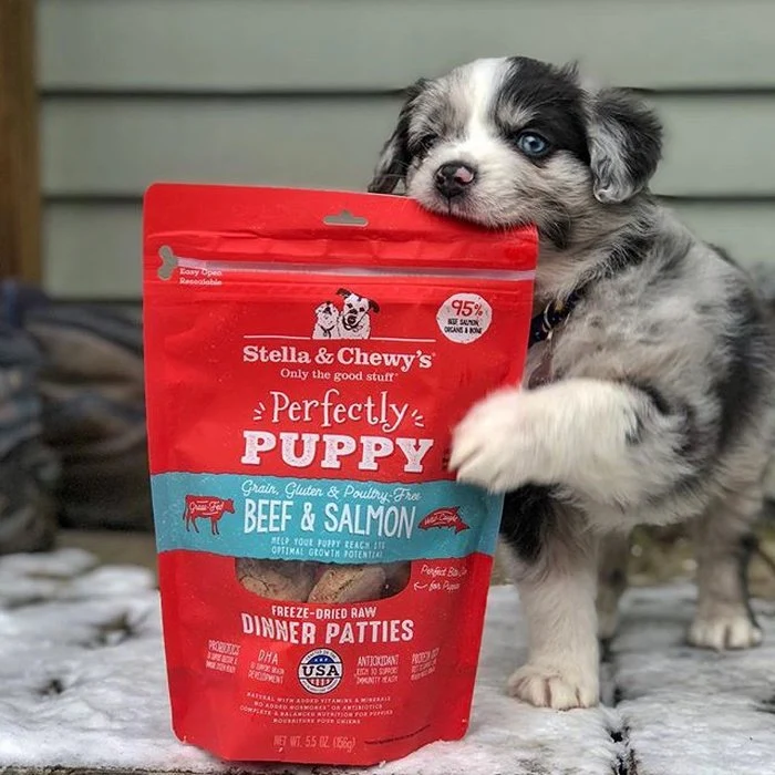 Galettes Stella & Chewy's Perfectly Puppy Bœuf et Saumon pour chiots