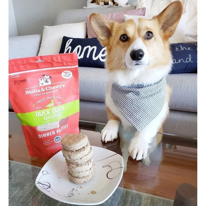 Galettes Stella & Chewy's Dinner Patties Duck Duck Goose pour chiens