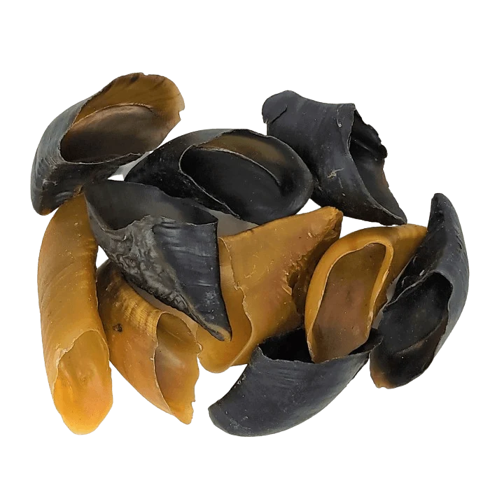 Sabot de boeuf - Paquet de 10
