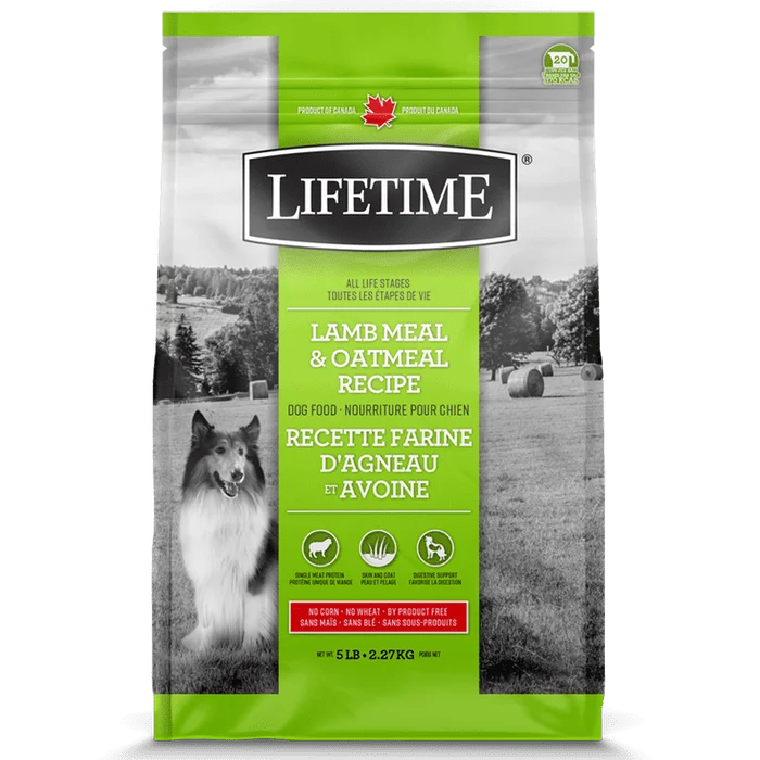 Nourriture pour chiens Lifetime Agneau & Avoine