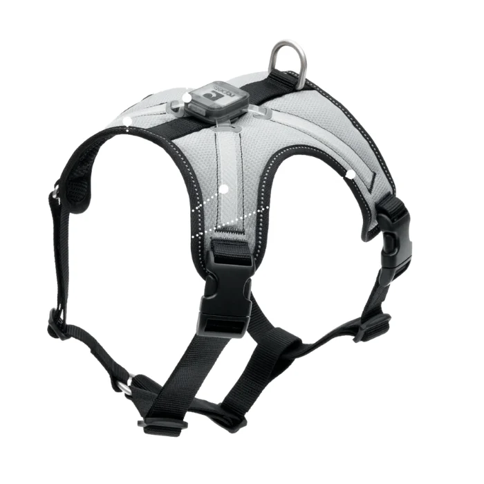 Harnais pour chien lumineux RC Pets Nova Led Light - LIQUIDATION VENTE FINALE
