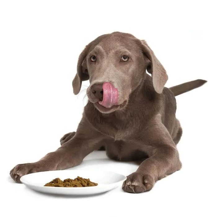 Smack Very Berry cru déshydraté poulet et petits fruits pour chiens
