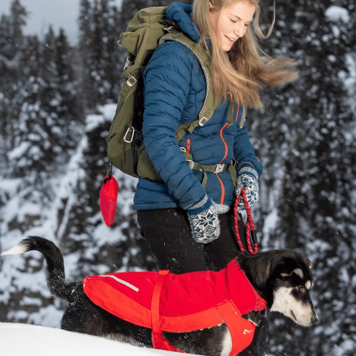 Manteau pour chien RC Pets - Circuit coat