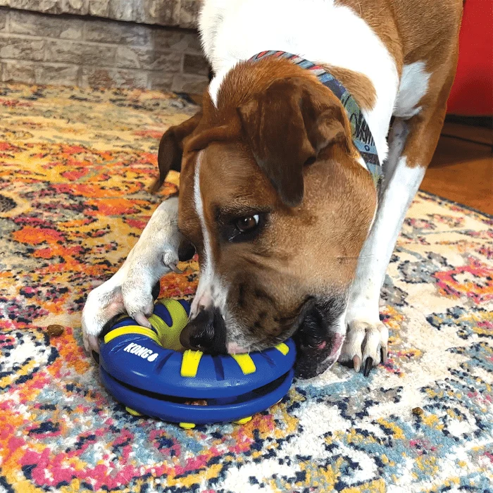 Kong Goodiez Anneau distributeur interactif pour chien