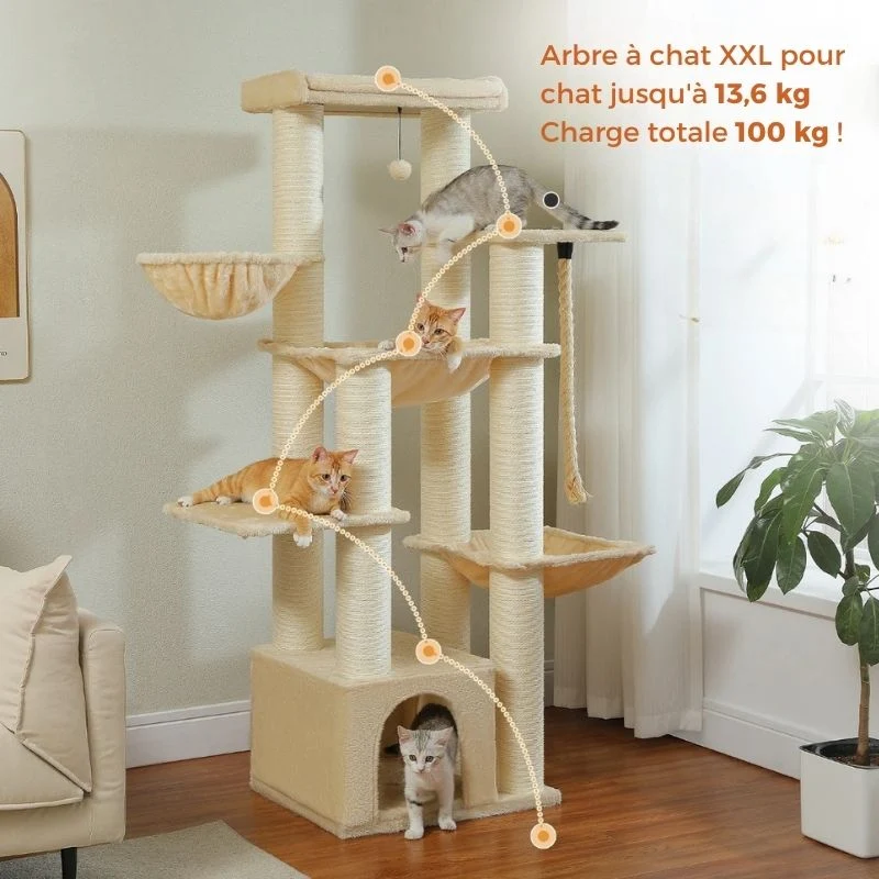 Arbre à chat pour Maine Coon ou plusieurs chats- 170 cm