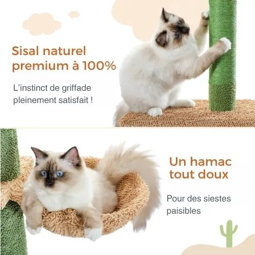 Arbre à chat - Tour cactus 230 cm