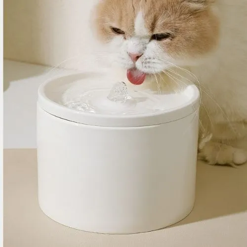 Fontaines à eau en Céramique Silencieuse 1L - OPure