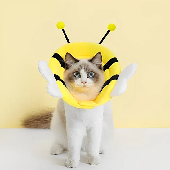 Collerette chat - Design Abeille