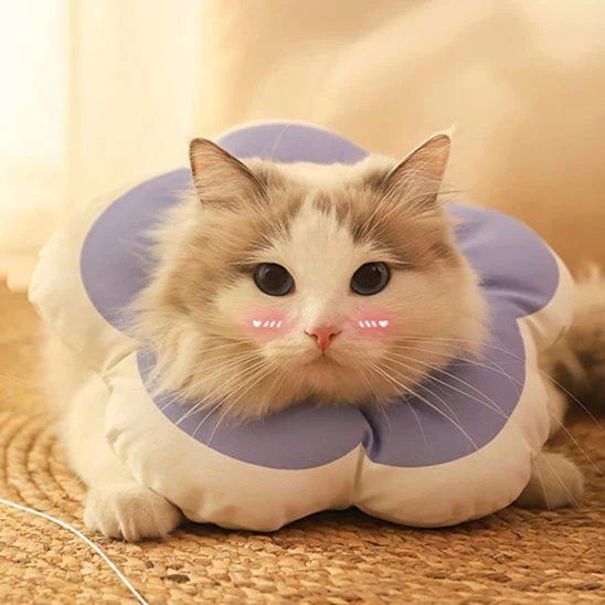 Collerette chat - Design Fleur