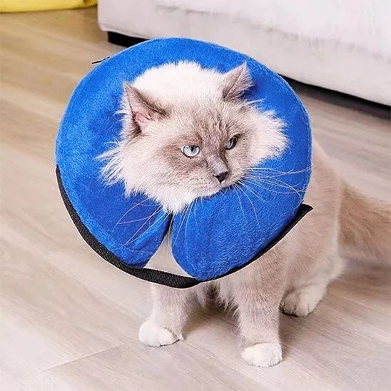 Collerette Chat - Gonflable