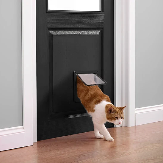 Chatiere pour porte - Verrouillable