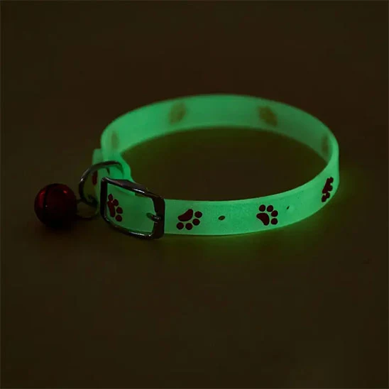 Collier chat - Lumineux