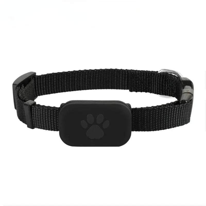 Collier GPS Chat - Anti Perte