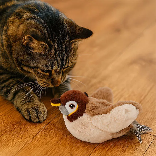 Oiseau pour chat - Ailes Battantes
