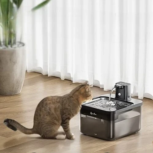 Fontaine à eau pour chat | Intelligente et Sans fil
