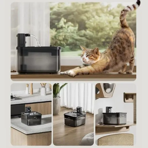 Fontaine à eau pour chat | Intelligente et Sans fil
