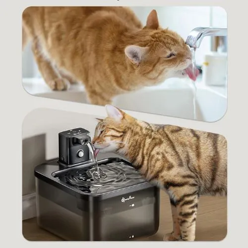 Fontaine à eau pour chat | Intelligente et Sans fil