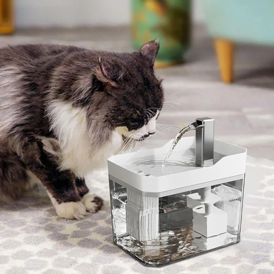 Fontaine à Eau pour Chat | Silentflow