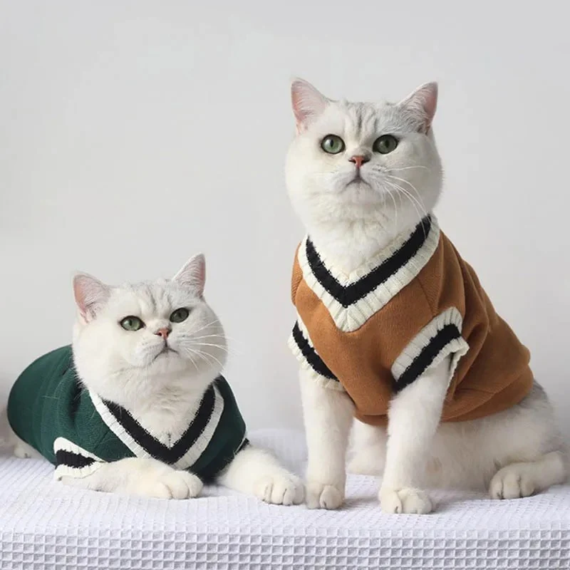 Pull pour chat - Oxford